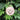 3 Herzchen aus Kinderlocken in Messing